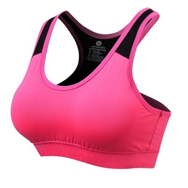 Gym Bra